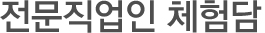 전문직업인