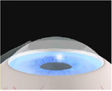 이미지는 여기에 넣으시면 됩니다