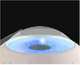 이미지는 여기에 넣으시면 됩니다