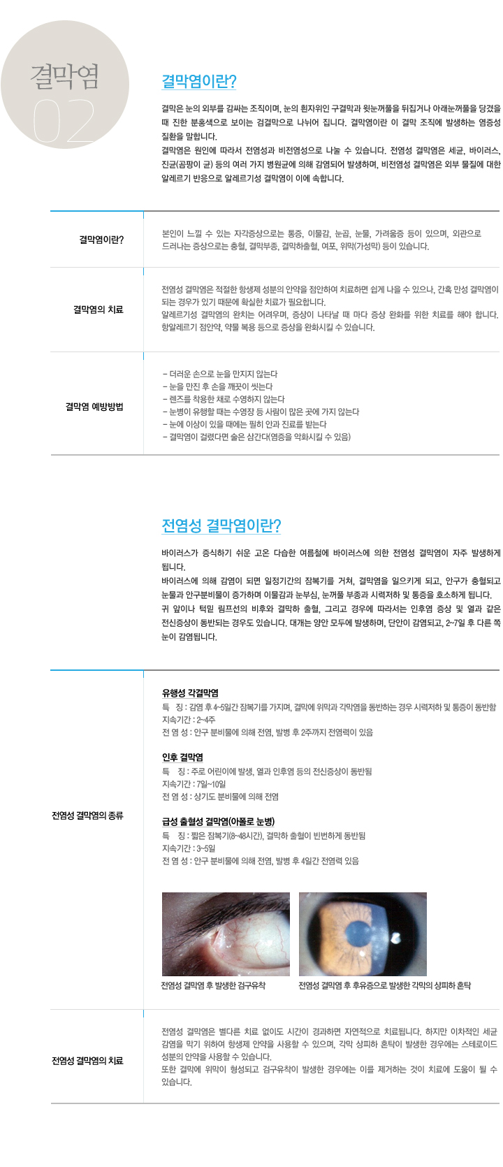 이미지는 여기에 넣으시면 됩니다